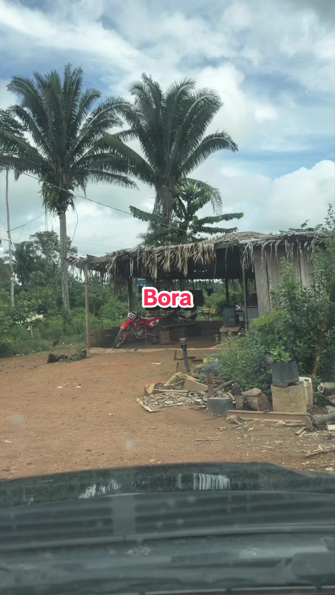 @Z&eacute; da mazona