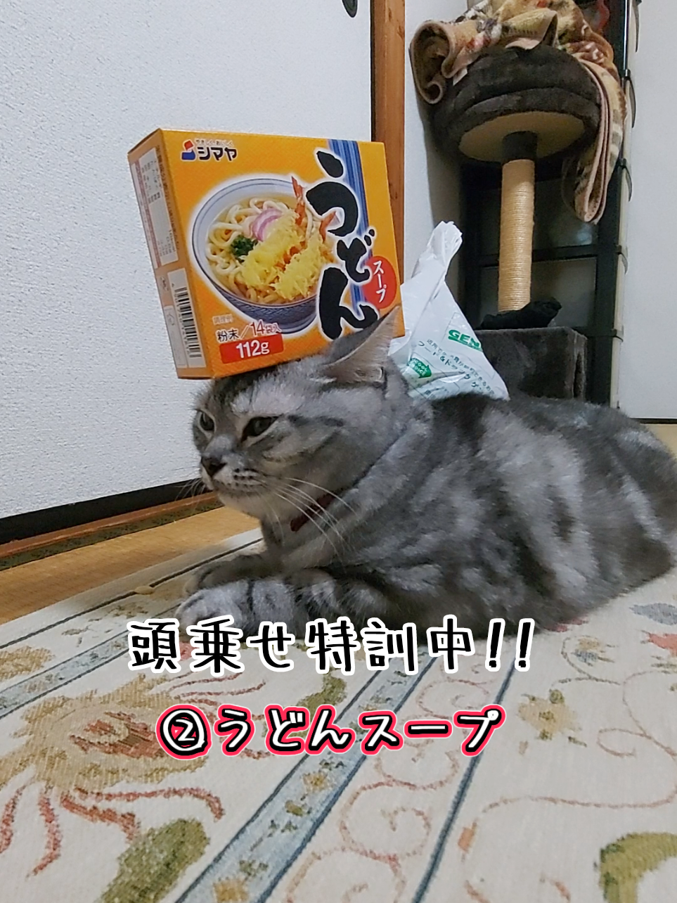 @ジュリちゃん