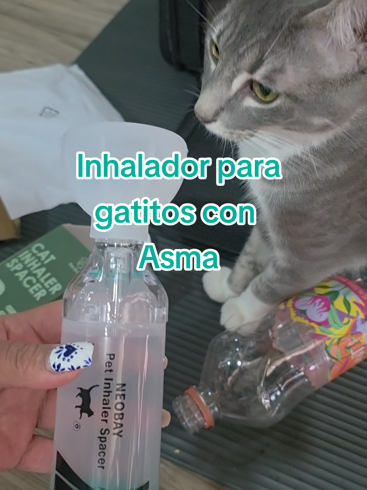 @megara_