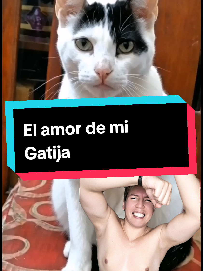 @Mart&iacute;n G7 Oficial 🪩