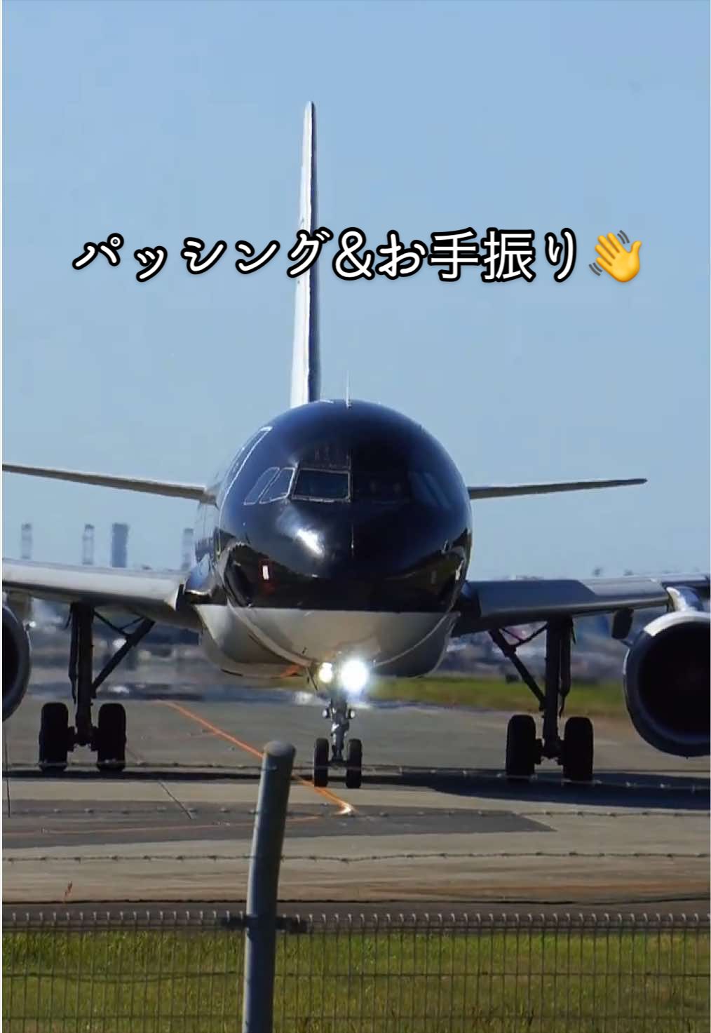 @⚾️✈️Mr.Furuconda🐍🦅
