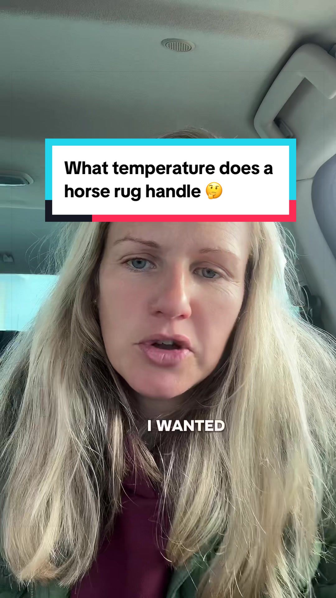 @Leader Equine