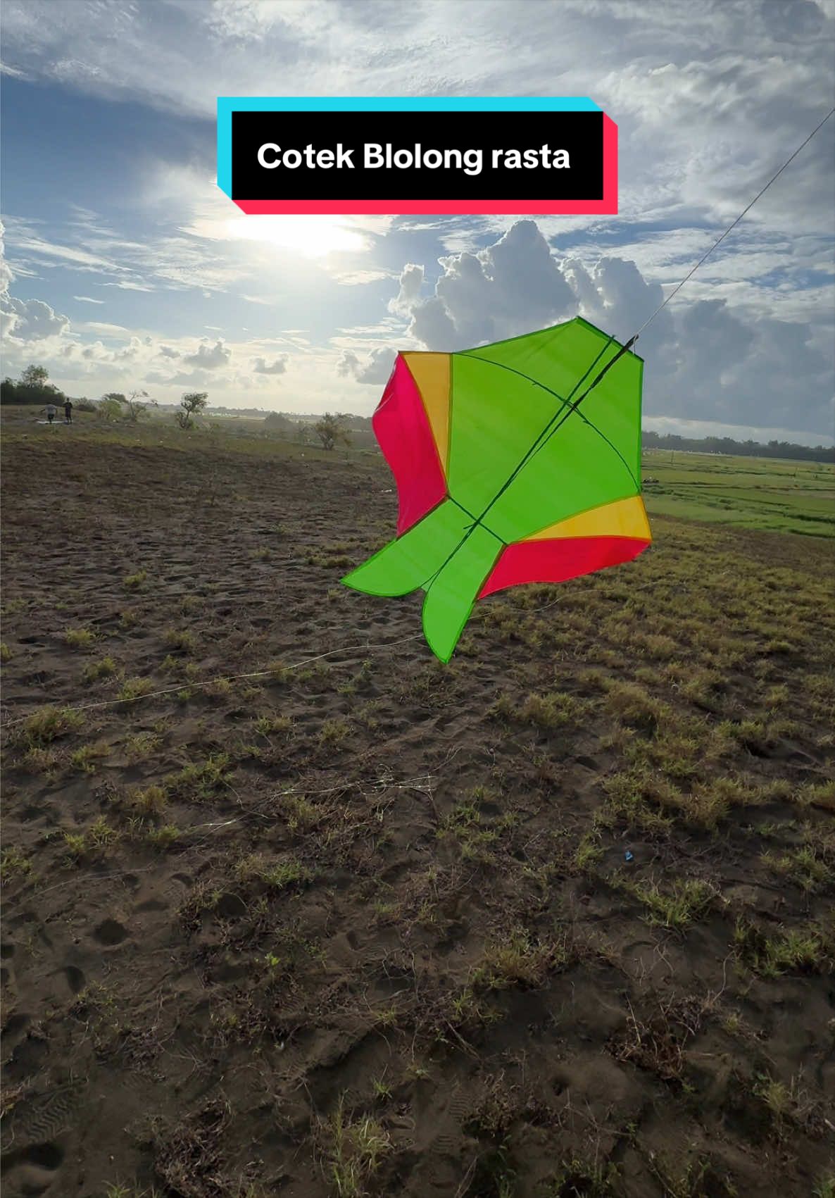 @ZAW Fhising & Kite