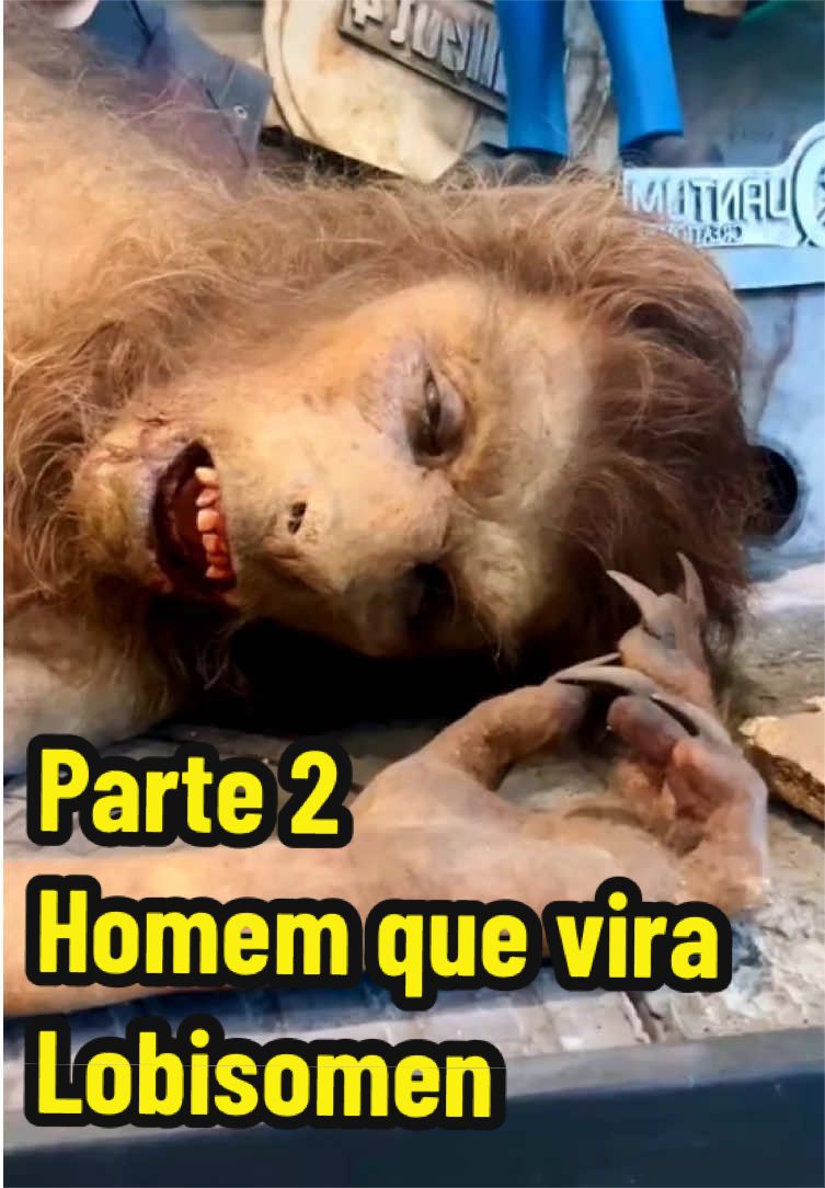 @felpzoficial