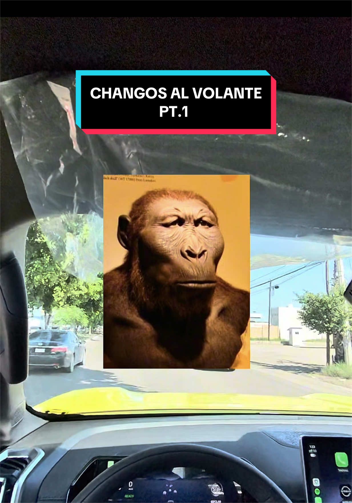 @AdrianCarLover
