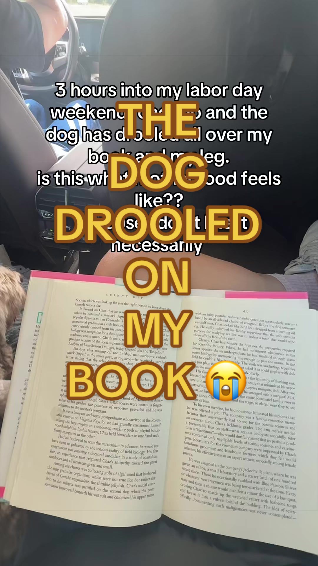 @KayleeTheKoala