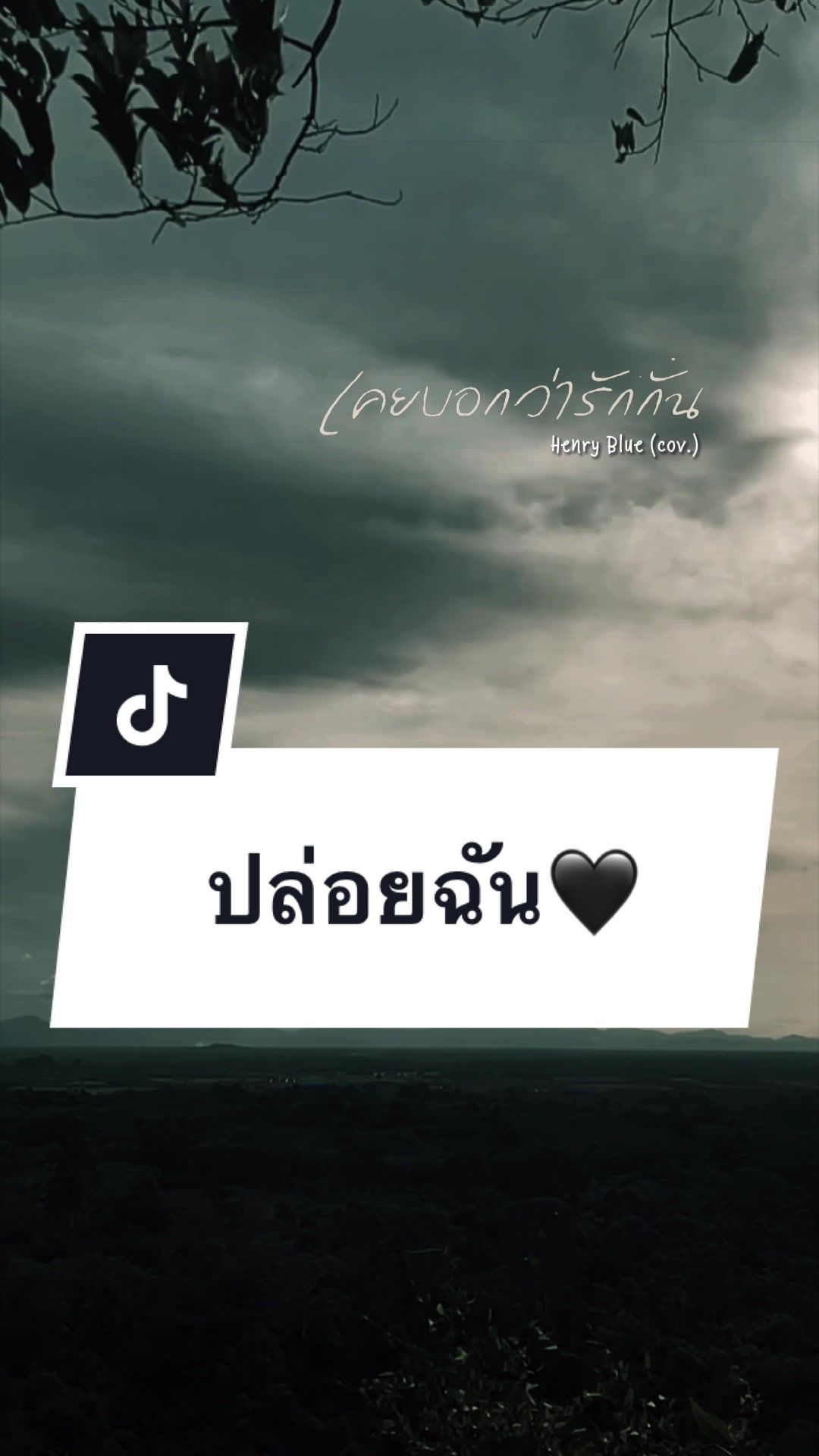 @เสื้อลูกไม้ PK Shop
