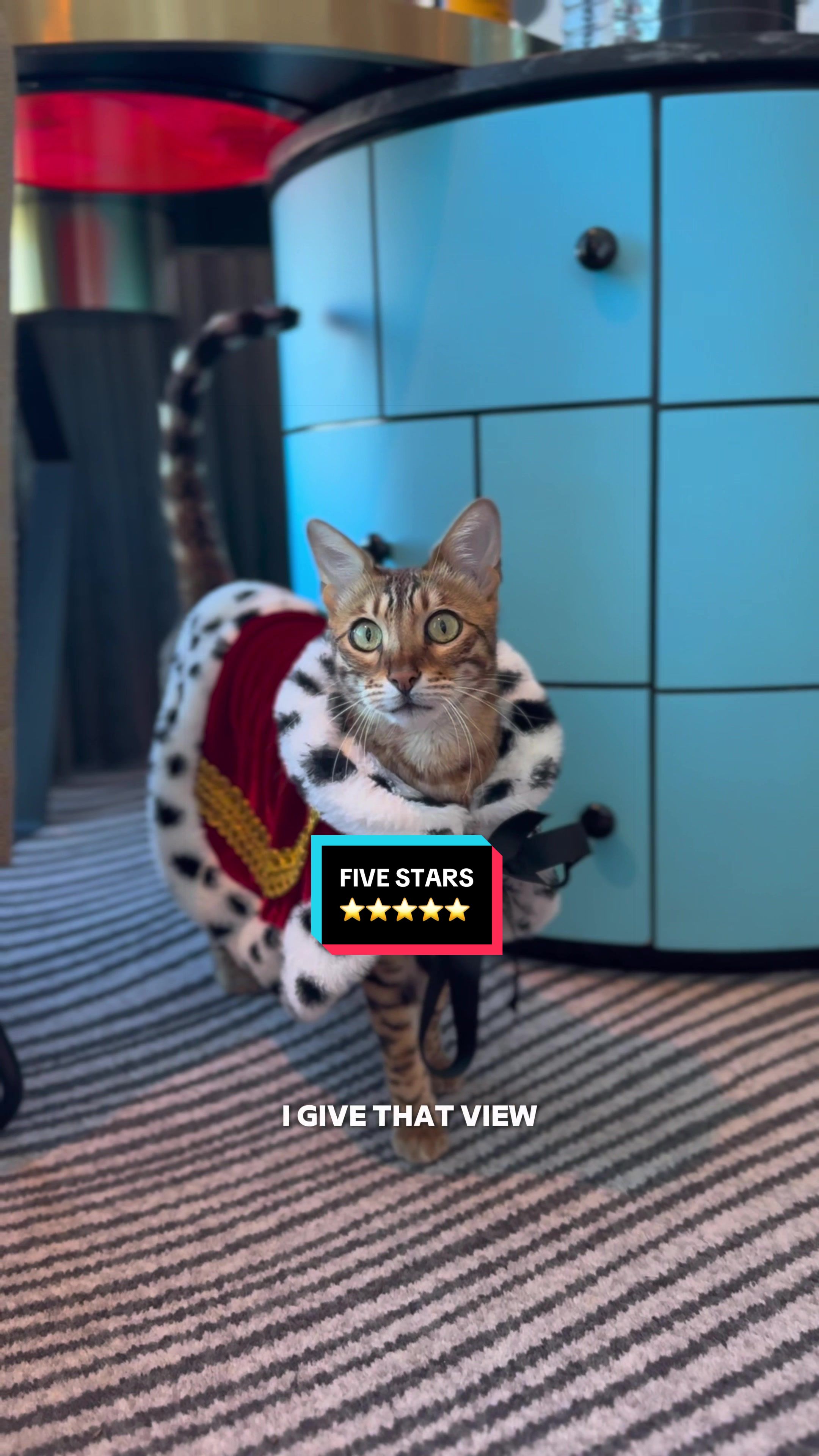 @Skeeter The Bengal