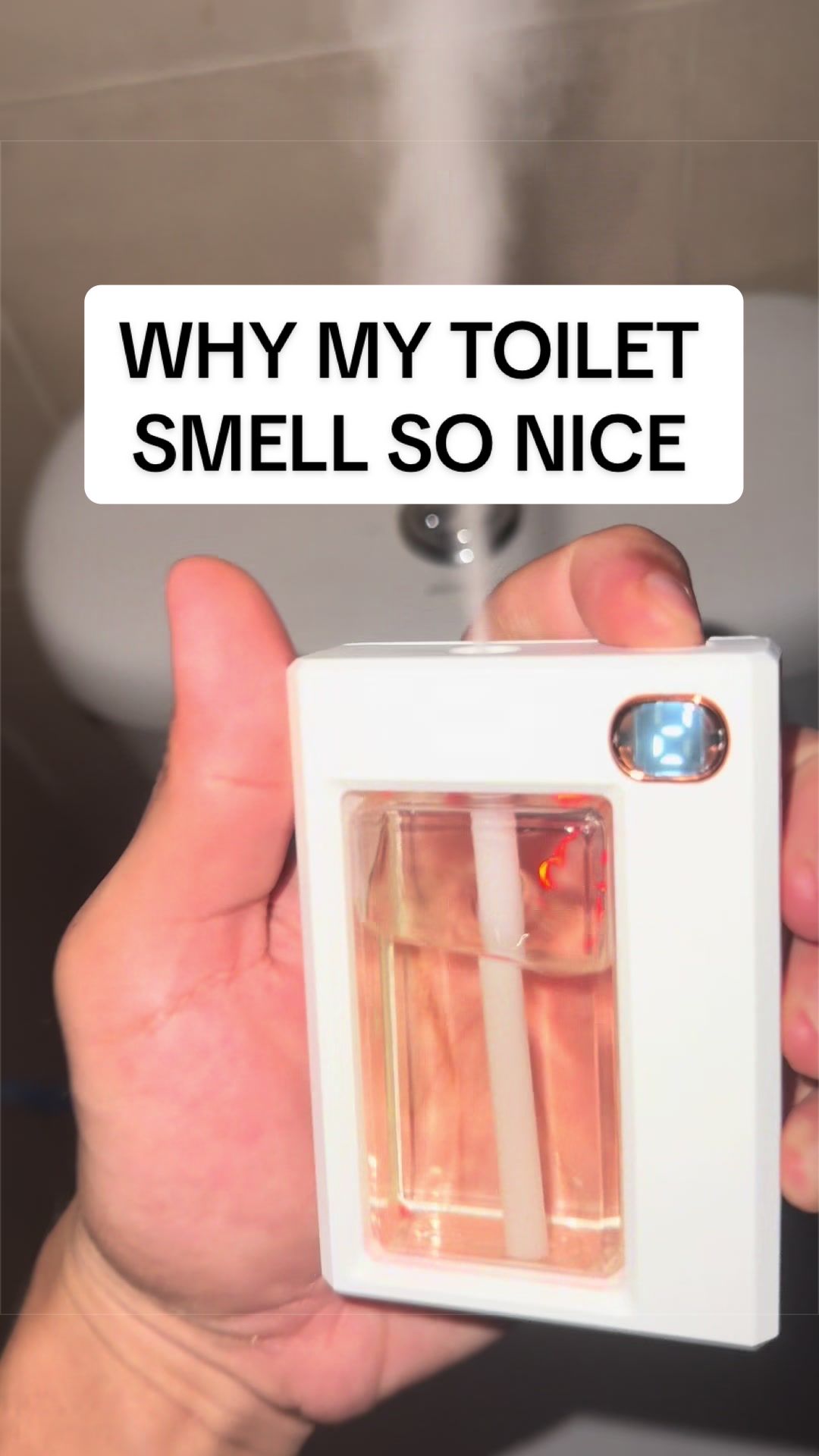 @sgcheapfinds
