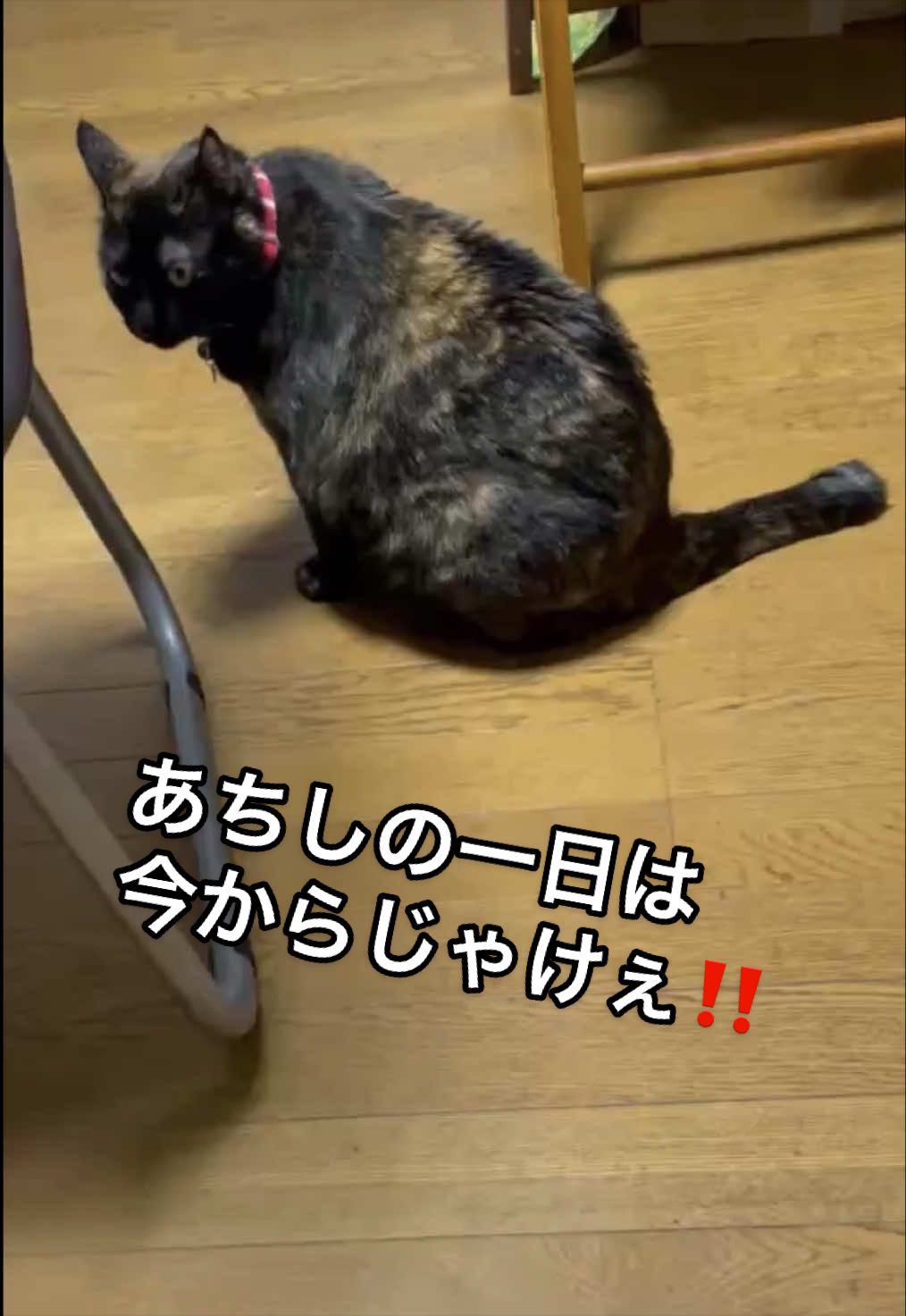 @聴々物語PROJECT