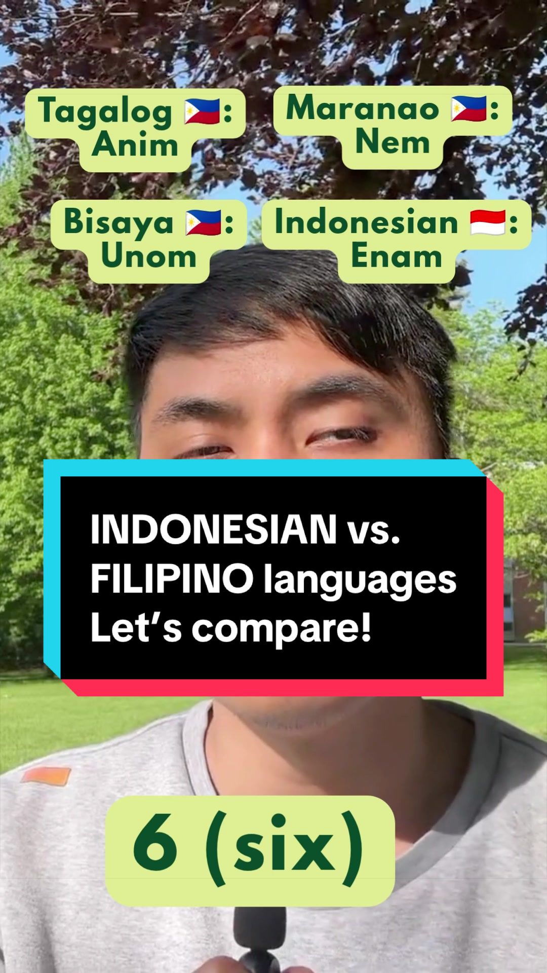 @✨ Nic The Polyglot ✨
