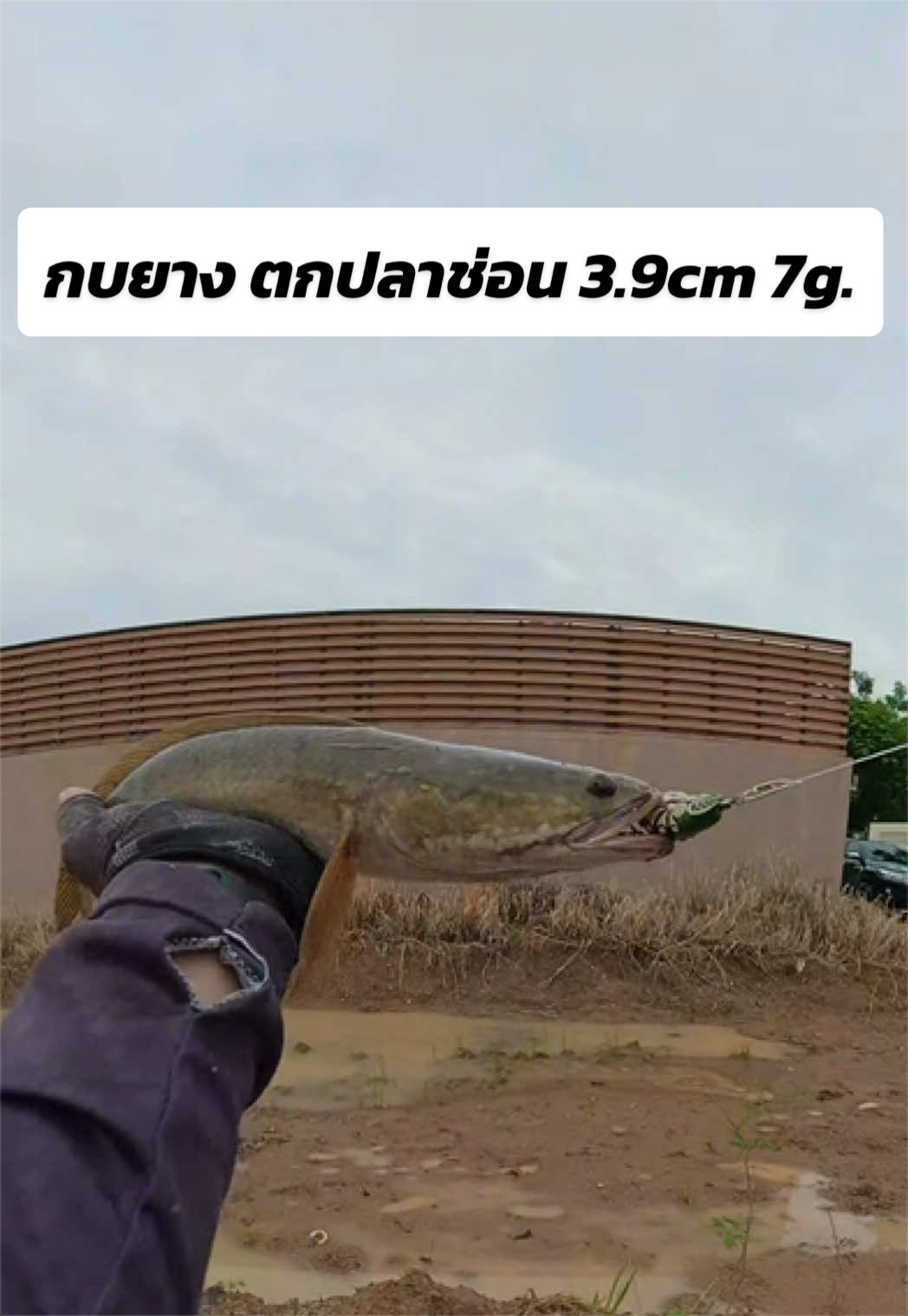 @น้ากอล์ฟ fishing ชอบแต่งรถ