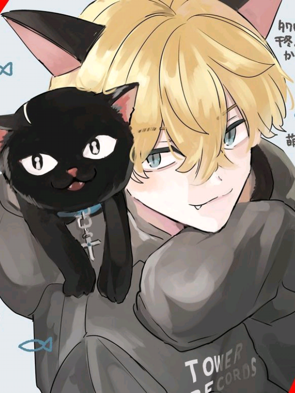 @. . ɾí́αα.. : ᰔ