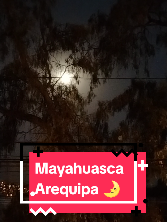 @Mayahuasca❤️