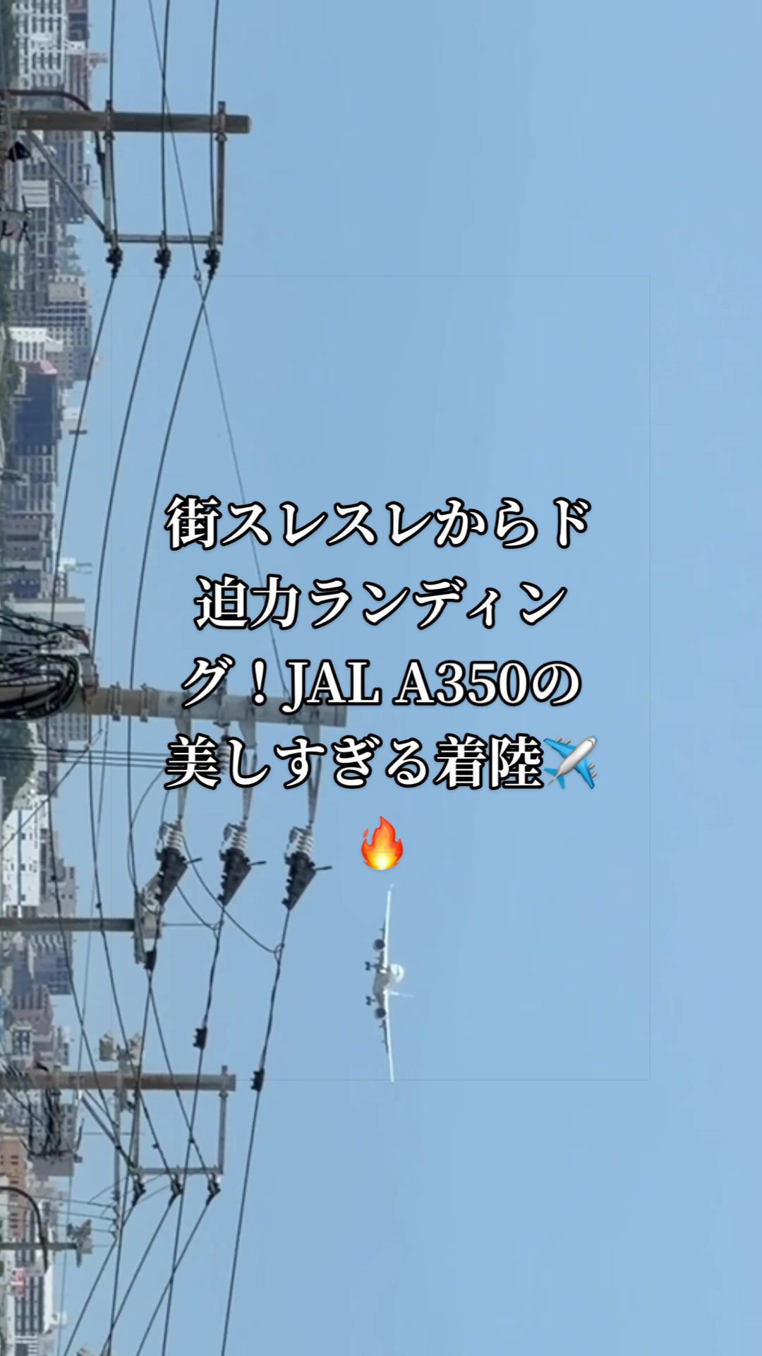 @✈️トト旦