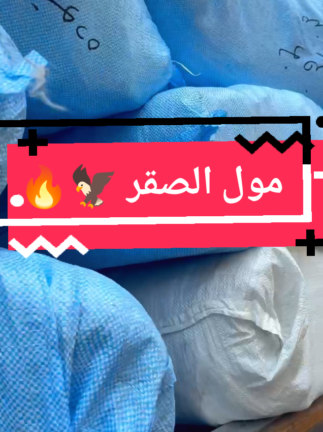@مول الصقر للملابس الجاهزة