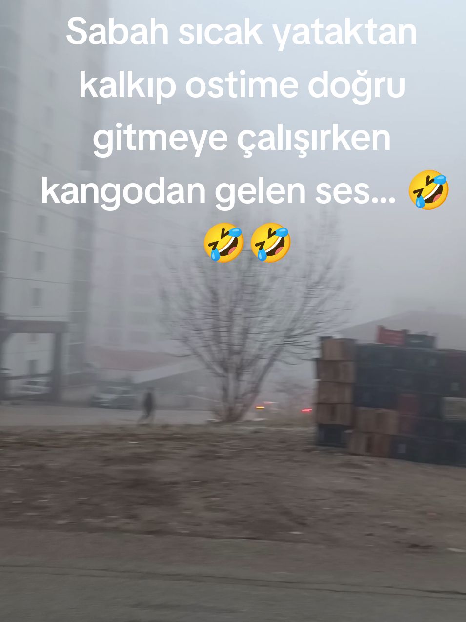 @Tolga Uğur