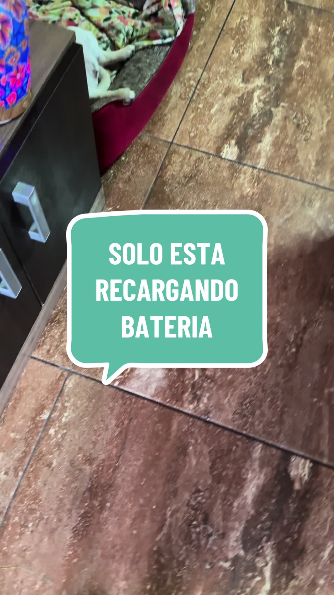 @Babypug