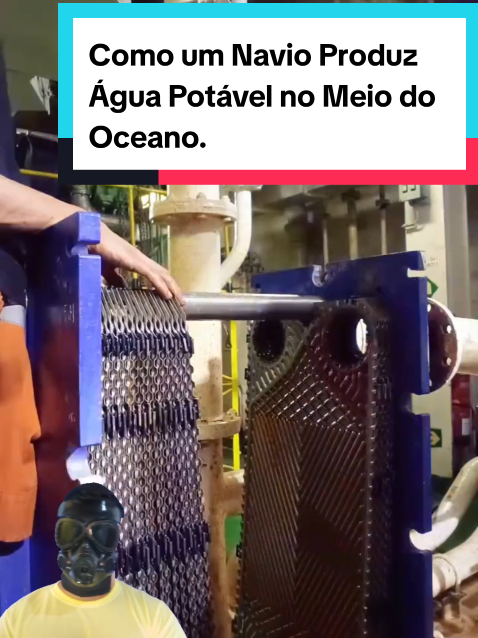 @Mundo da Curiosidades