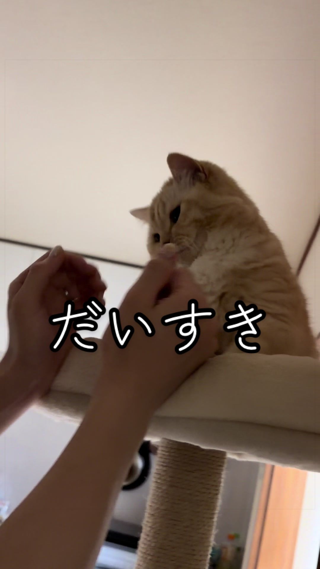 @縫くんと私
