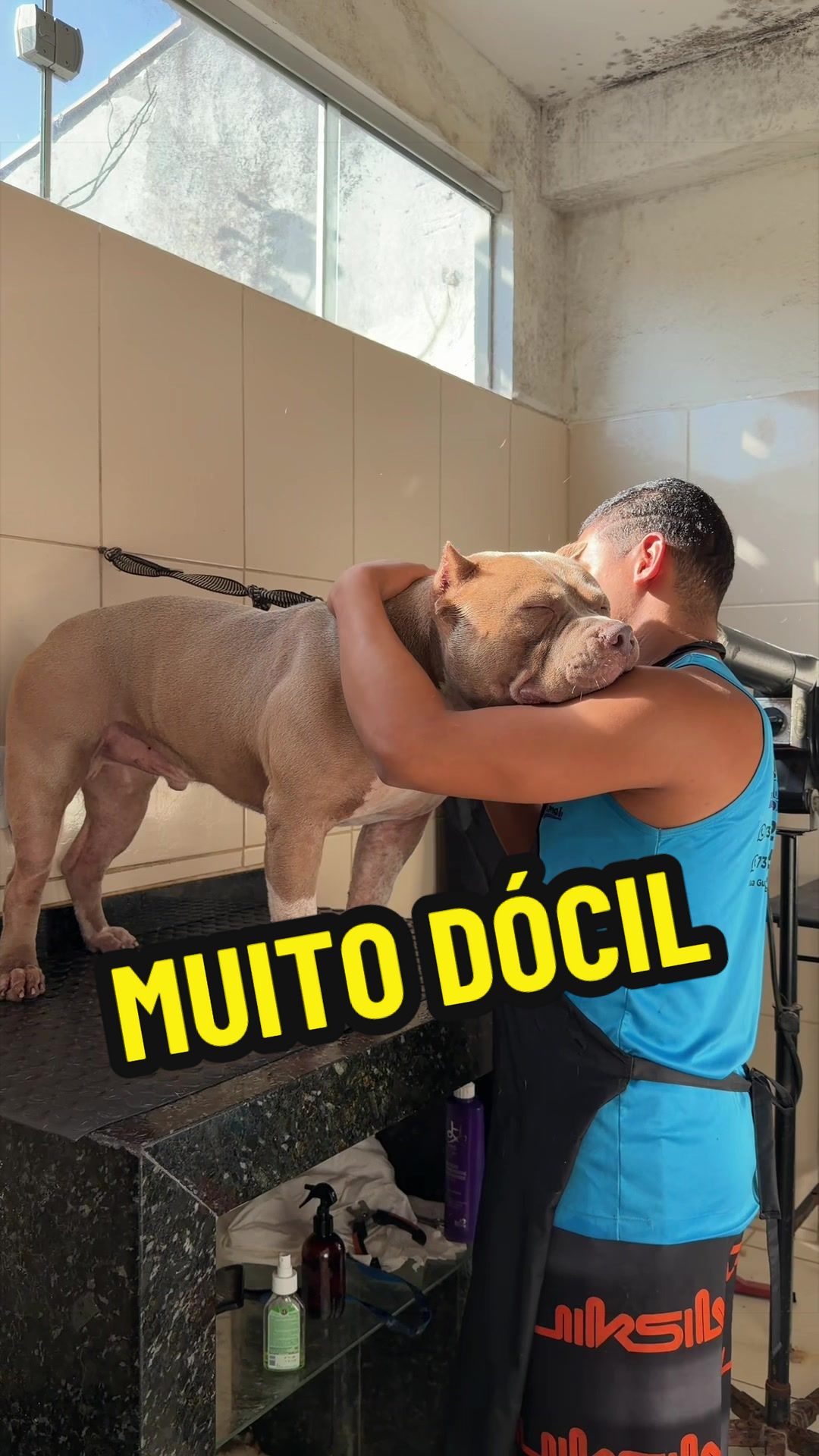 @Fam&iacute;lia Ragnar 🐶