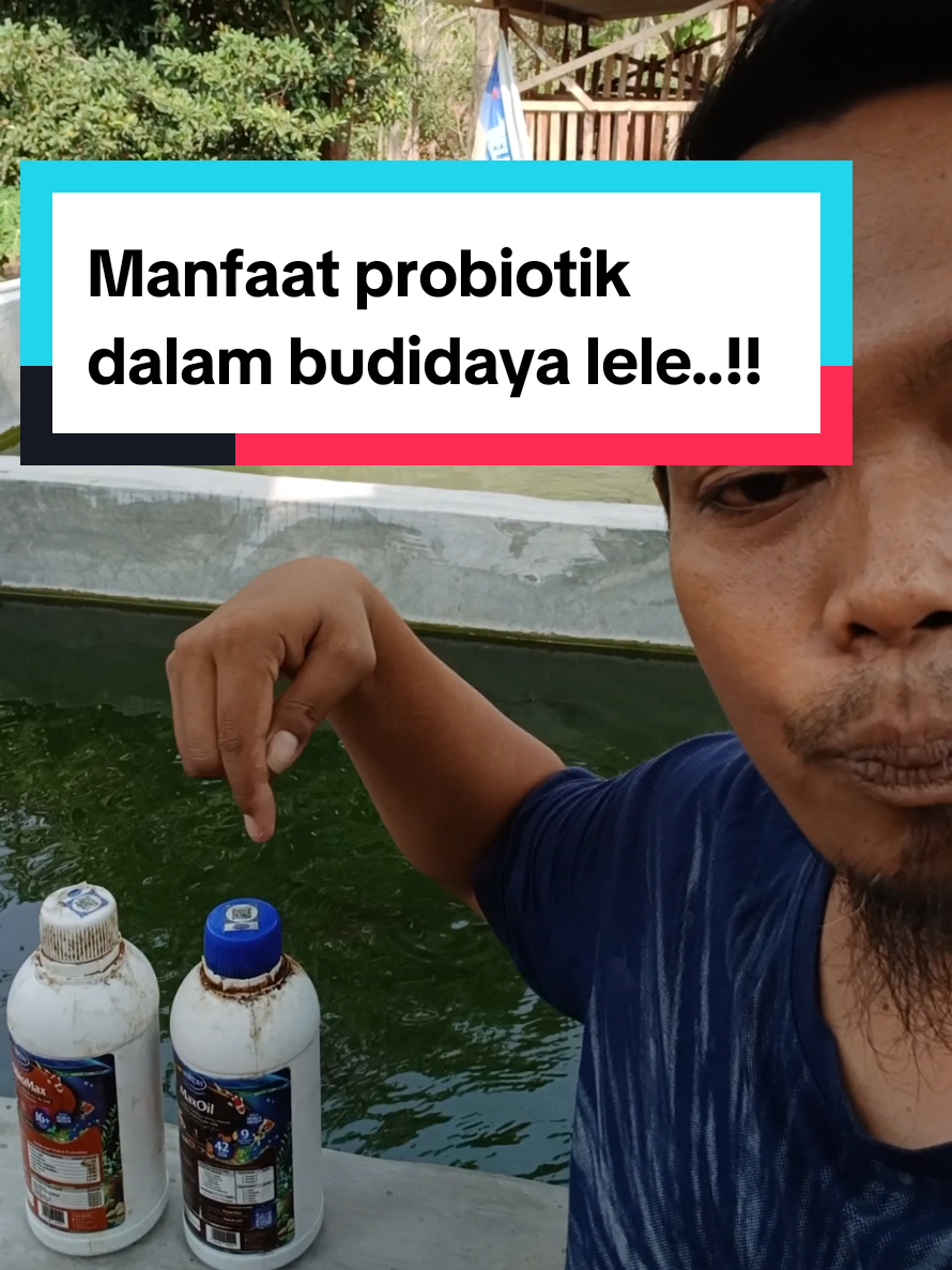 @Kang_Ewi