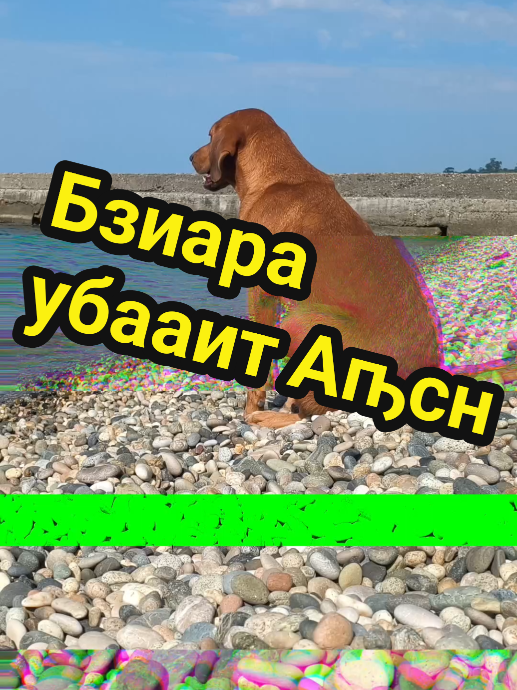 @🤟Веня Машаранский✌