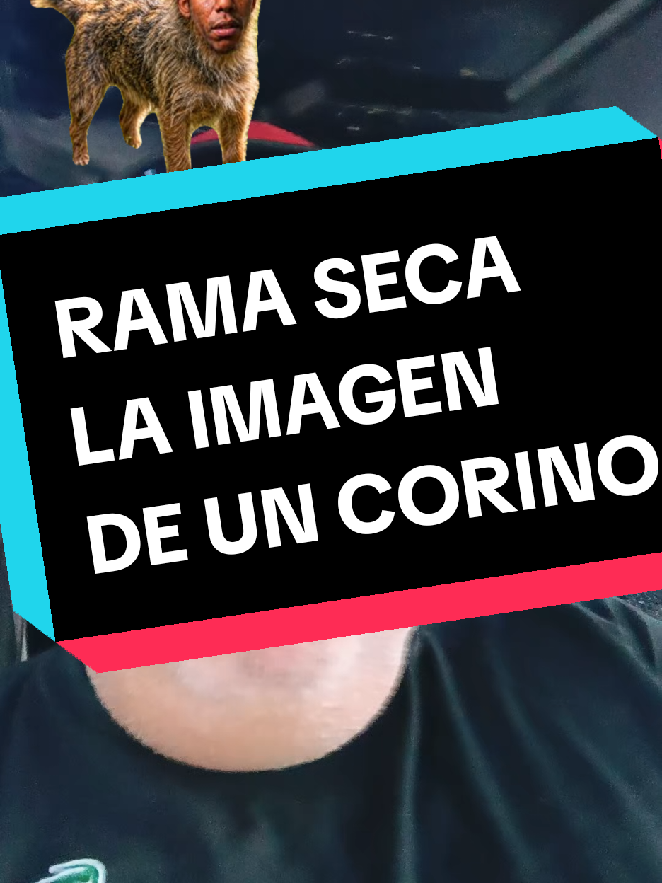 @CHOMPIRO50