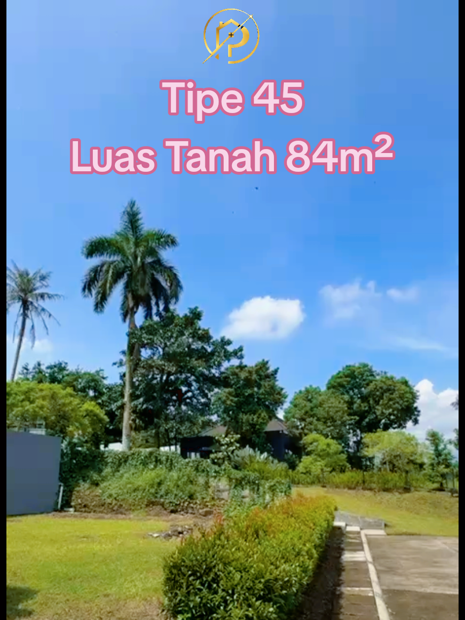 @Romansa Hans Property