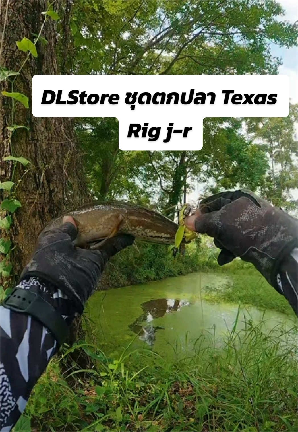 @น้ากอล์ฟ fishing ชอบแต่งรถ