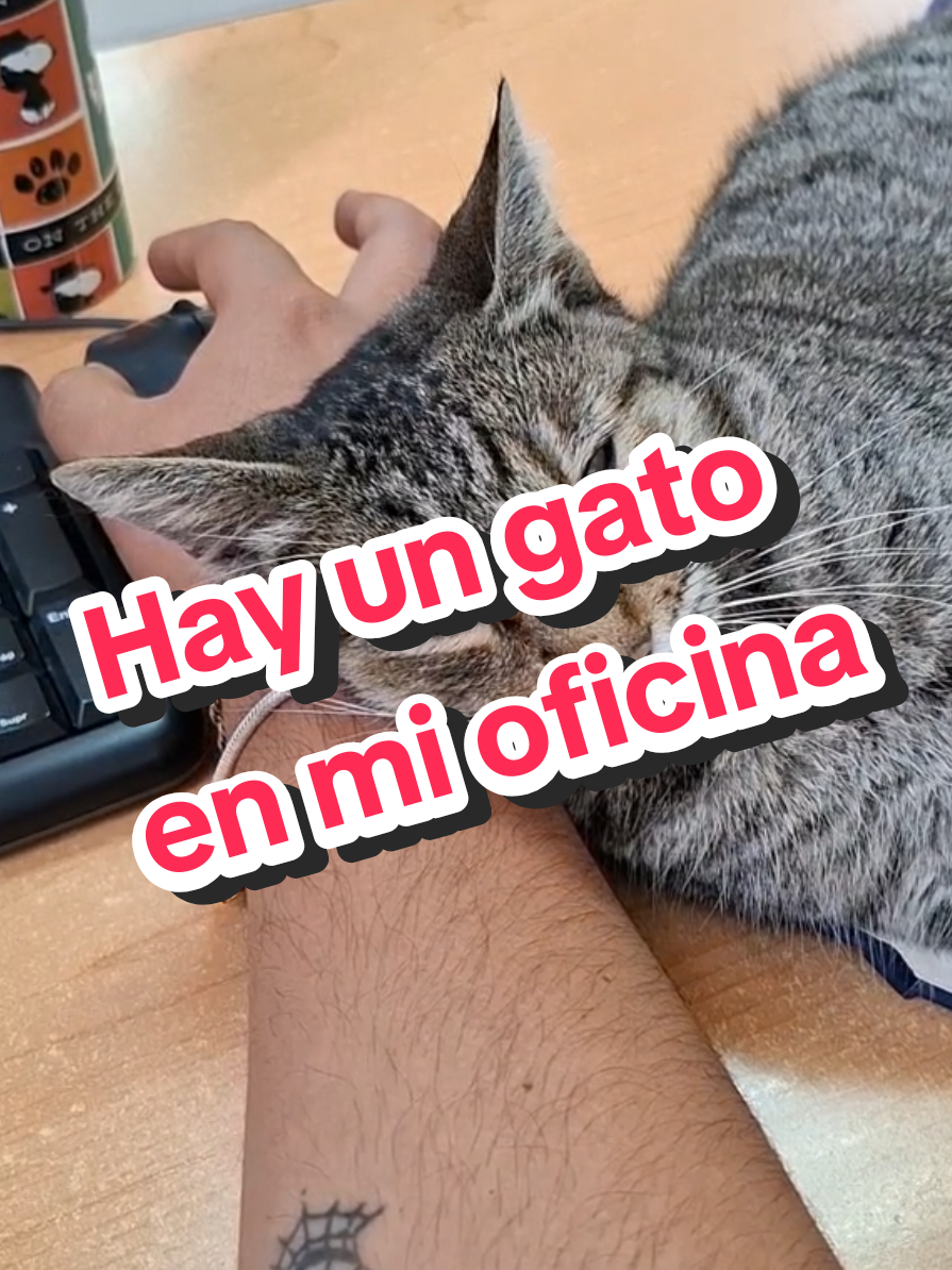 @Rich Zavala