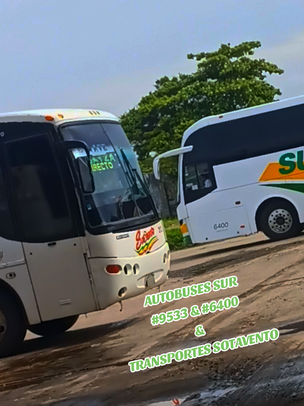 @Busologia Veracruzana 🍀🚍