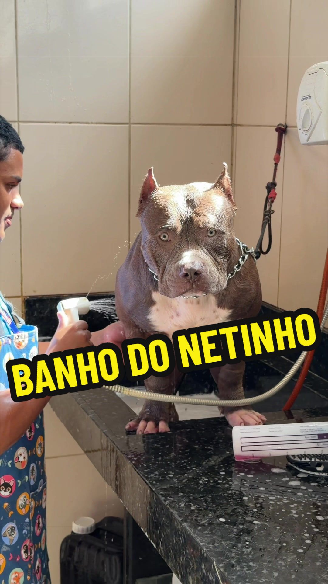 @Família Ragnar 🐶