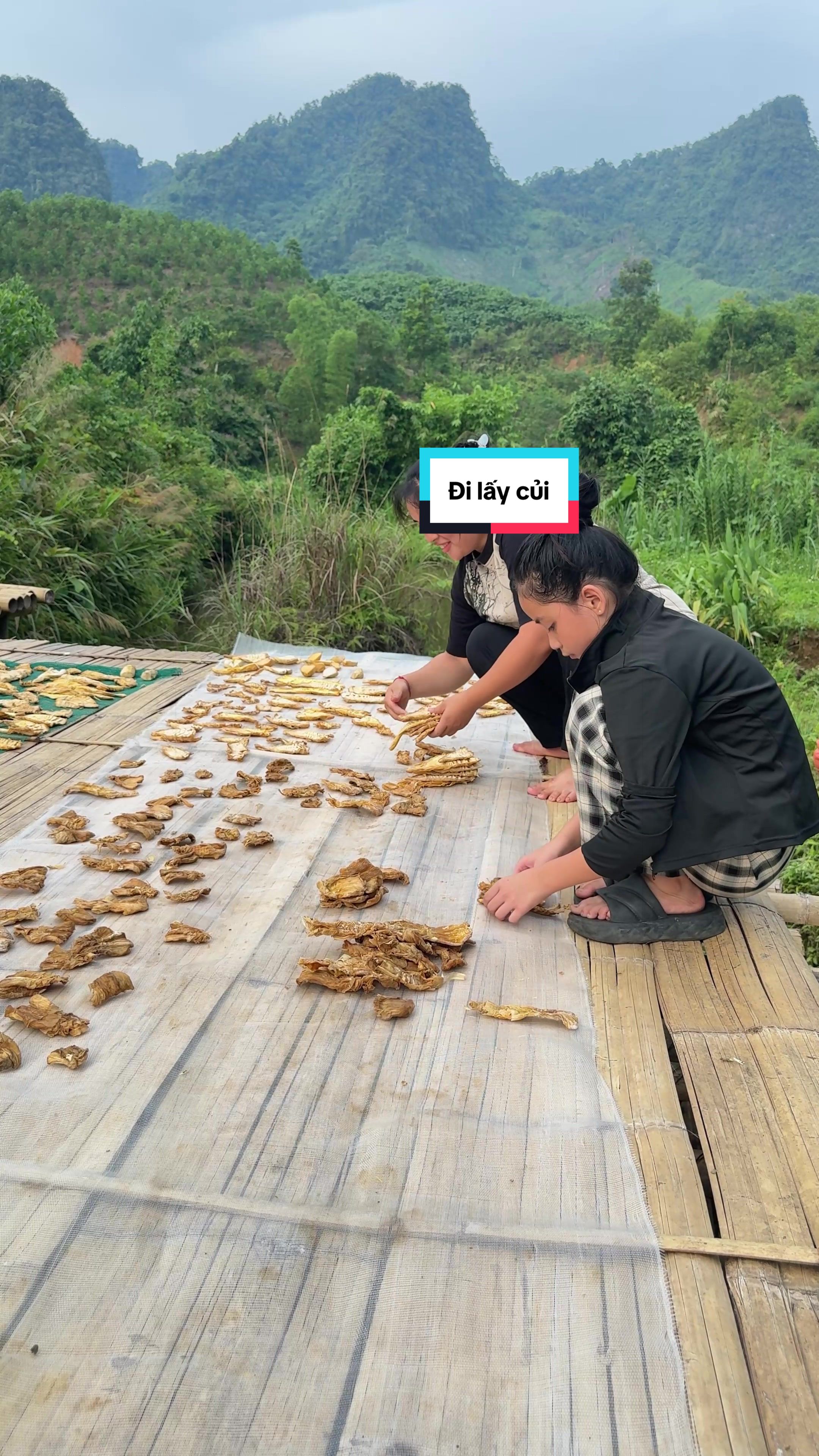 @Sức T&agrave;y