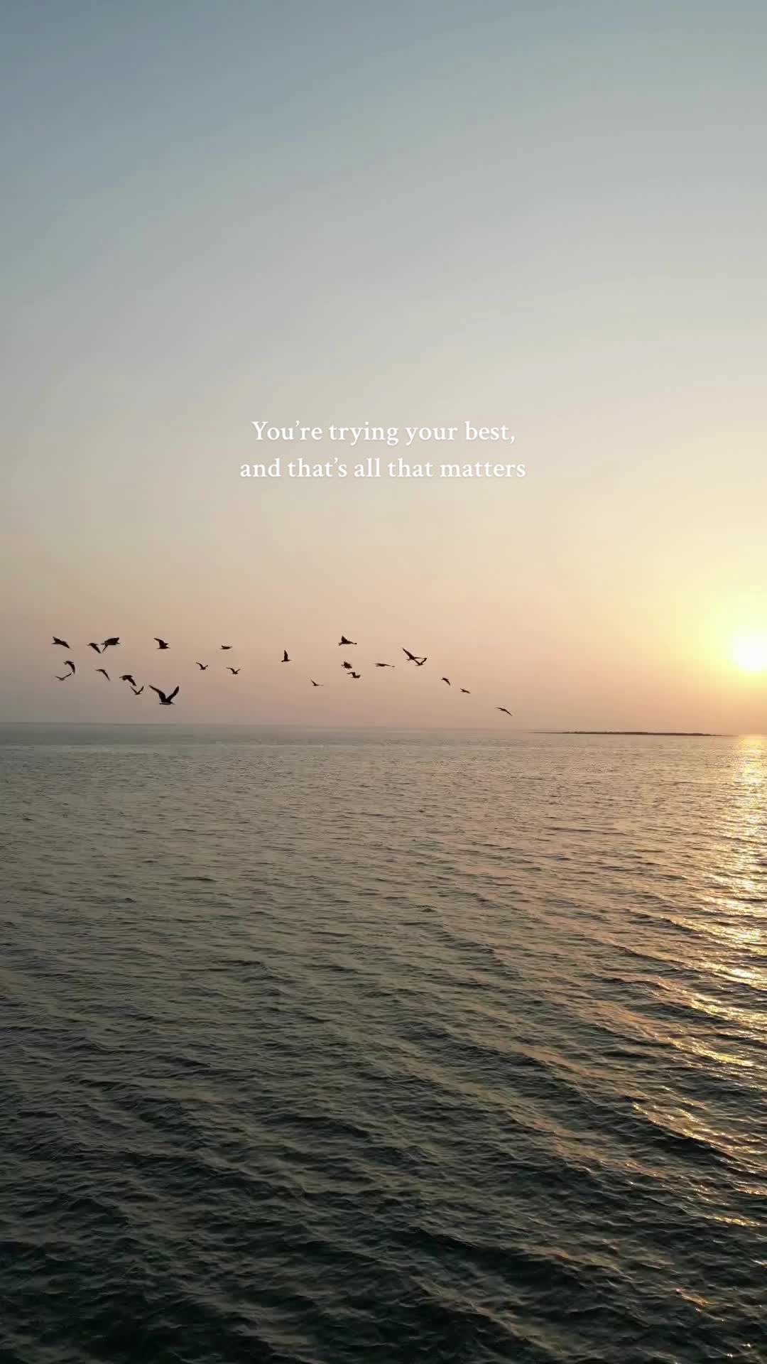 @Daily Healing Quotes ✨
