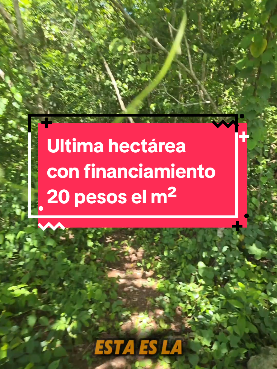 @Jose Chein - Bienes Raices