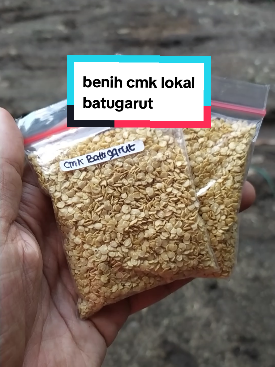 @koliang81