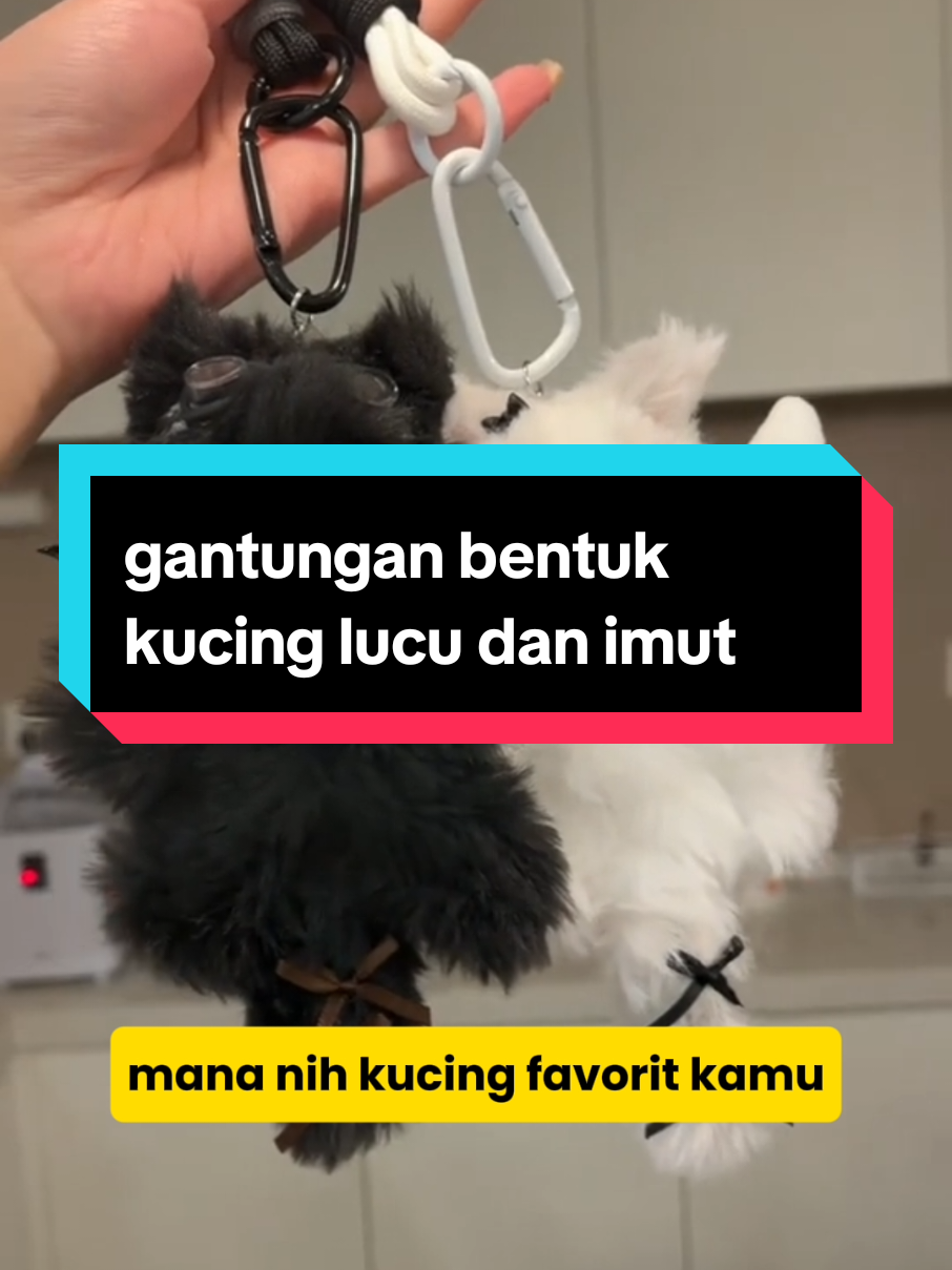 @dunia kucing