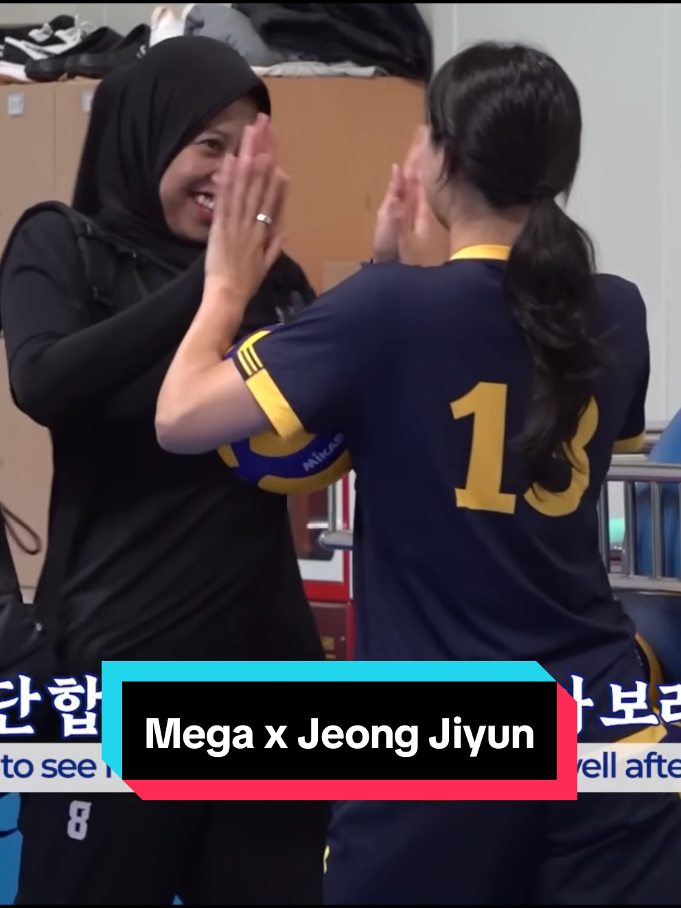 @라니아-Volleyball