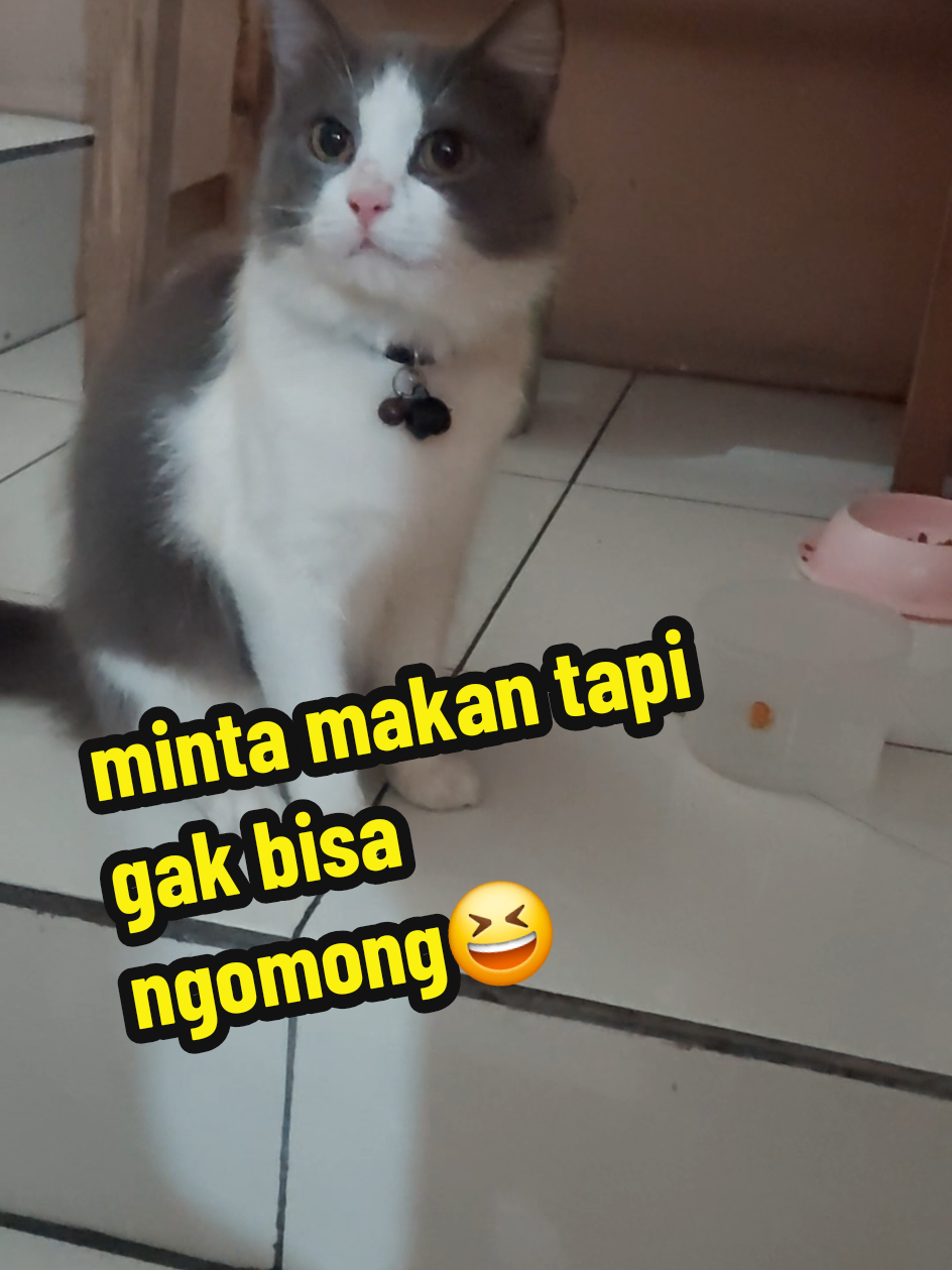 @Erni_marpaung