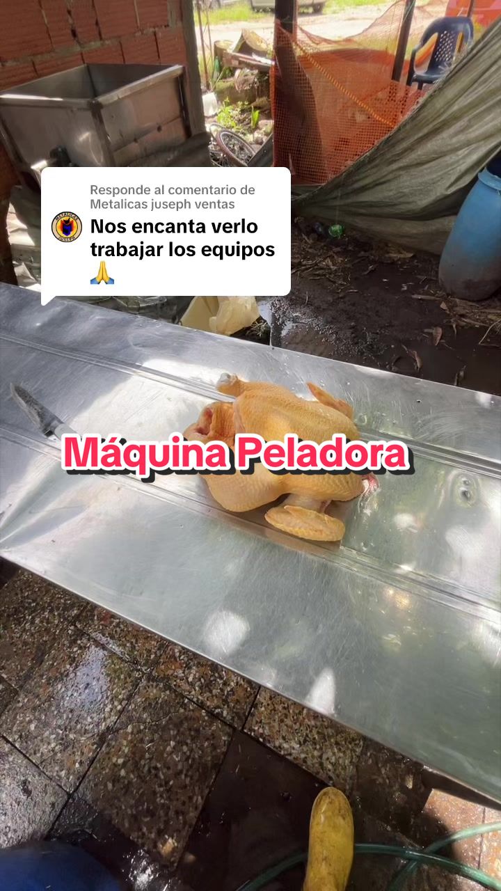 @elmagnatedelospollos