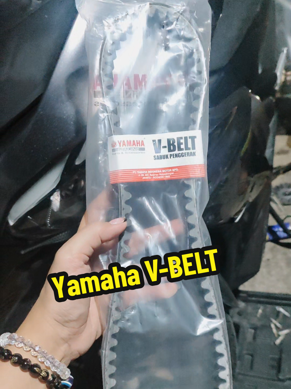 @🪬YAM🪬