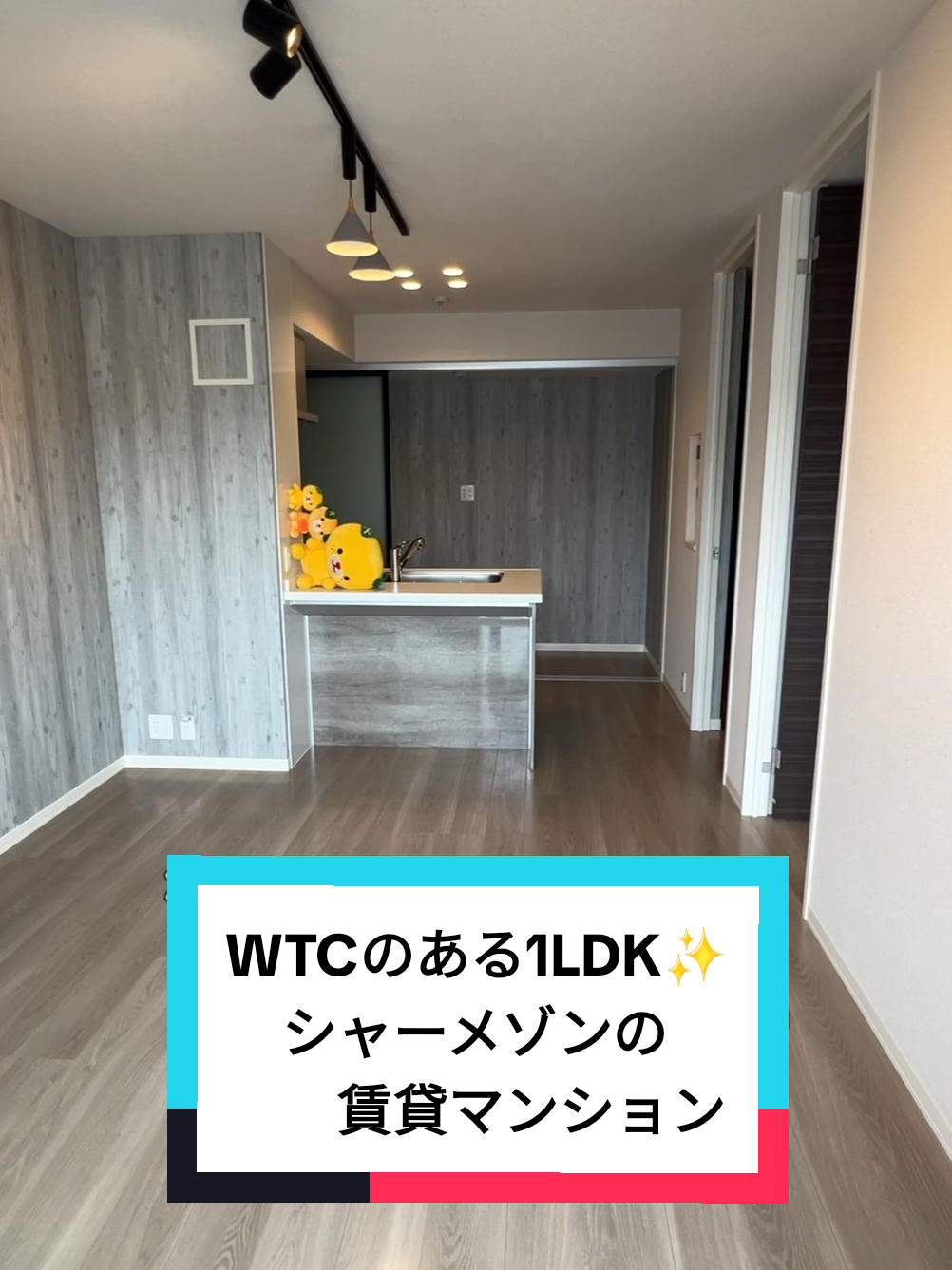 @賃貸ルームツアー♪松山市と今治市みかん不動産