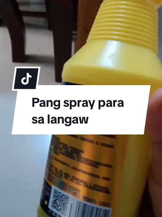 @inday alicia