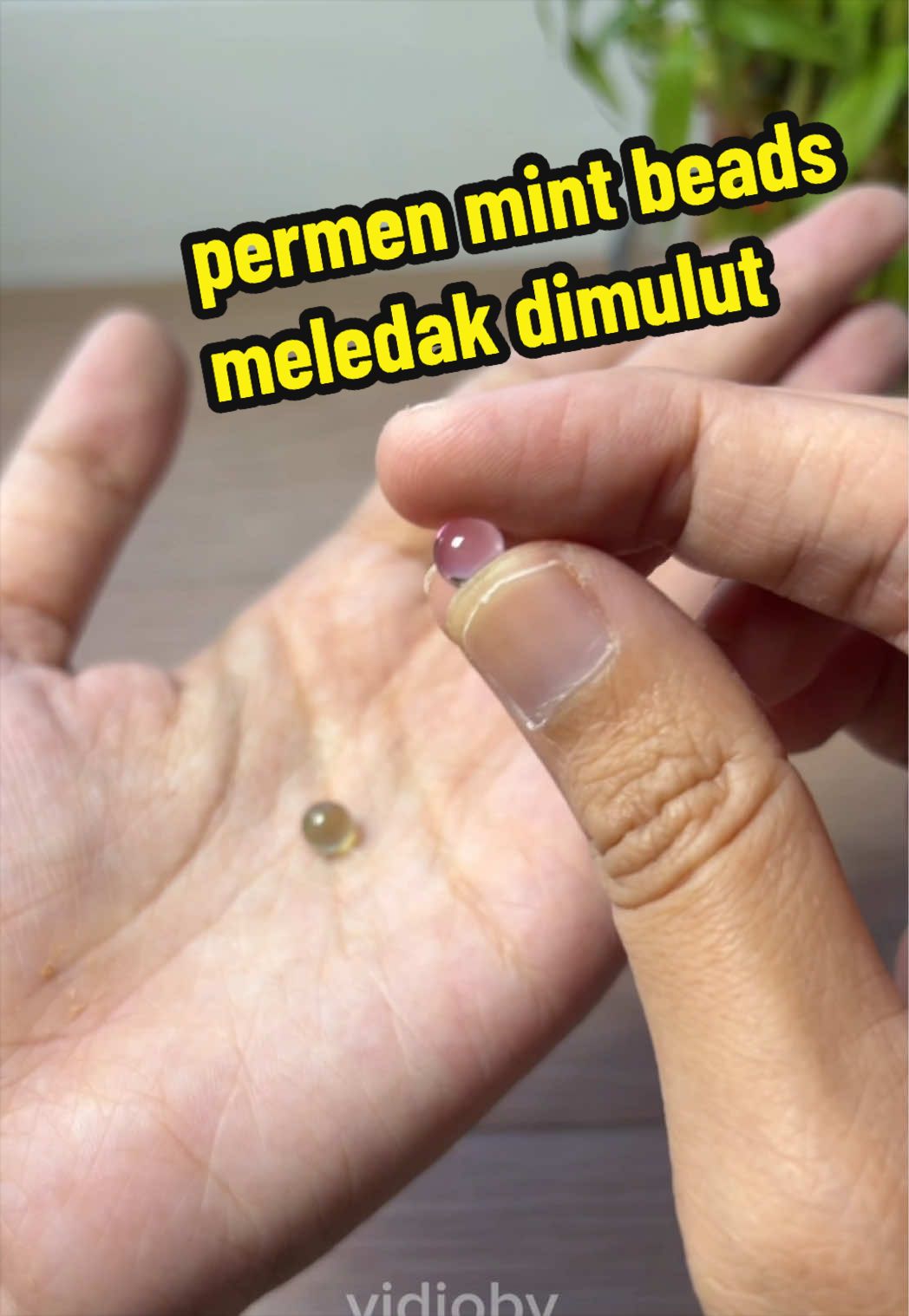 @Putri cull🍀