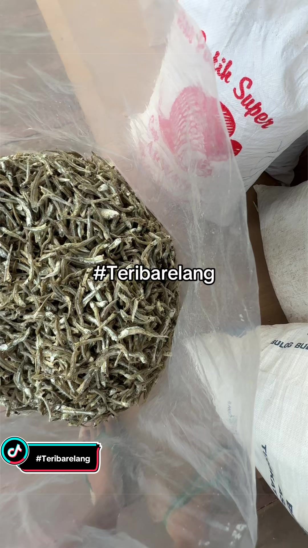 @Teri Barelang