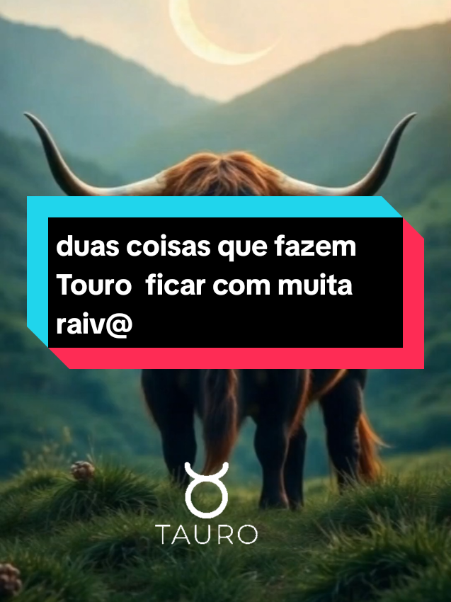 @tudosobreos12signos_virginiana