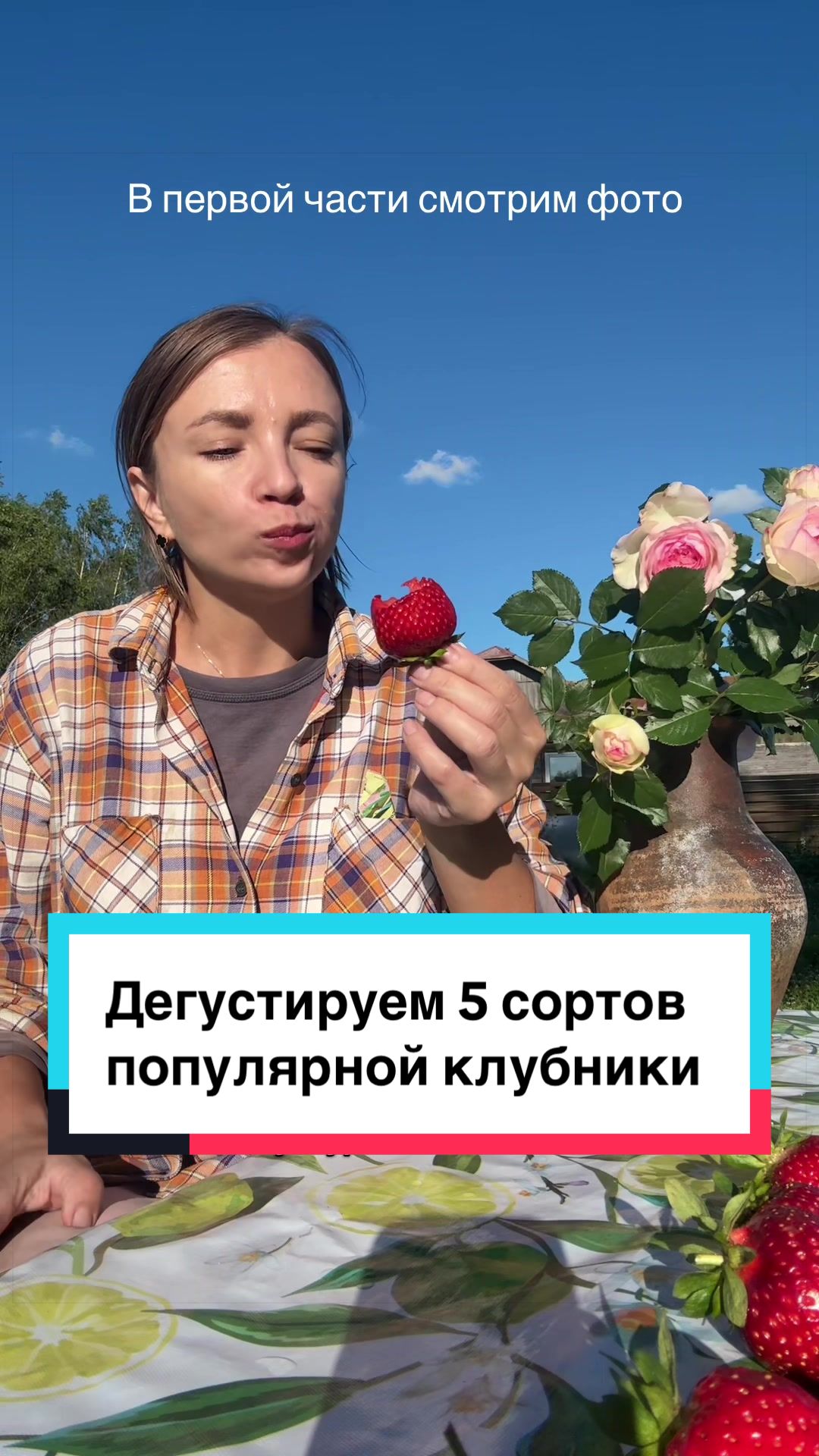 @Lucky Travel