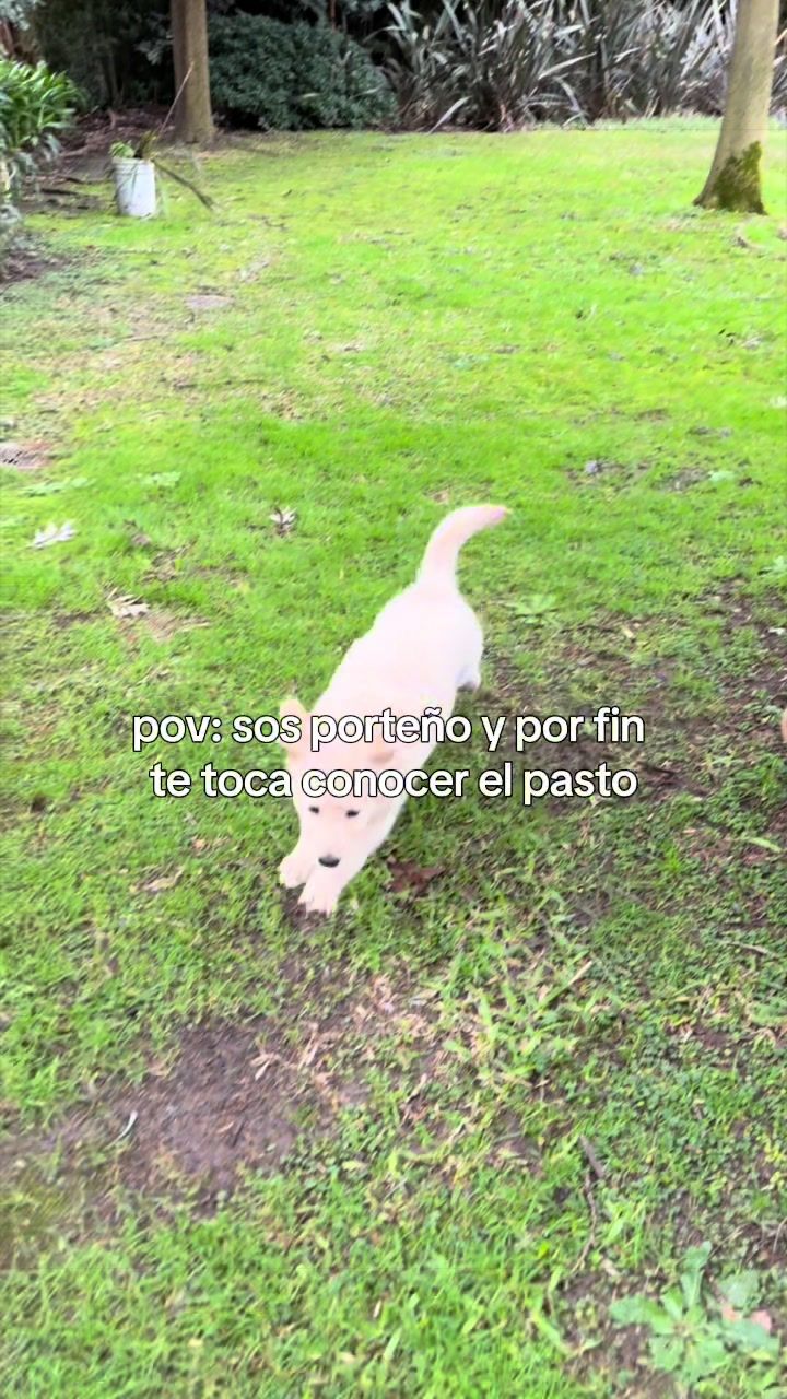@Panchalagolden