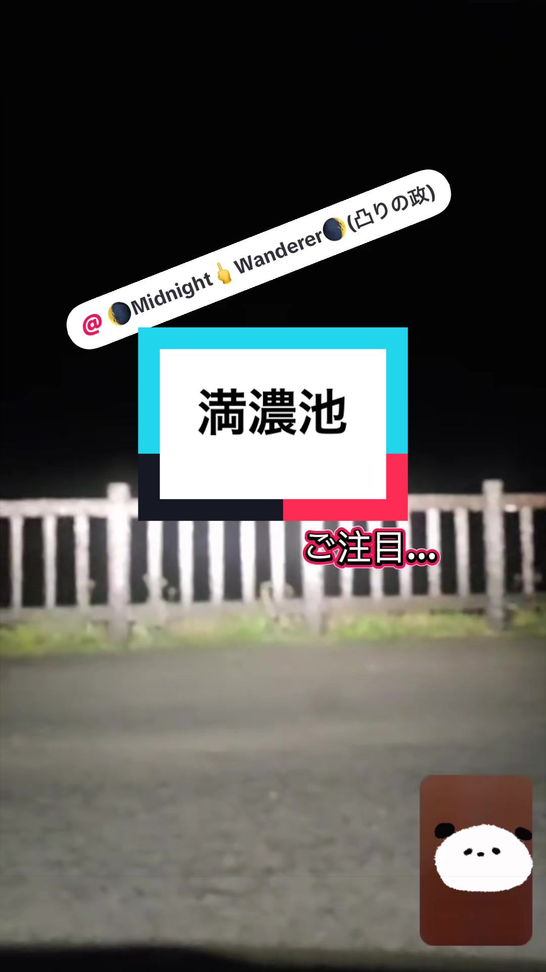 @そら。まめ。👻⛩✨🦁🏴☠️